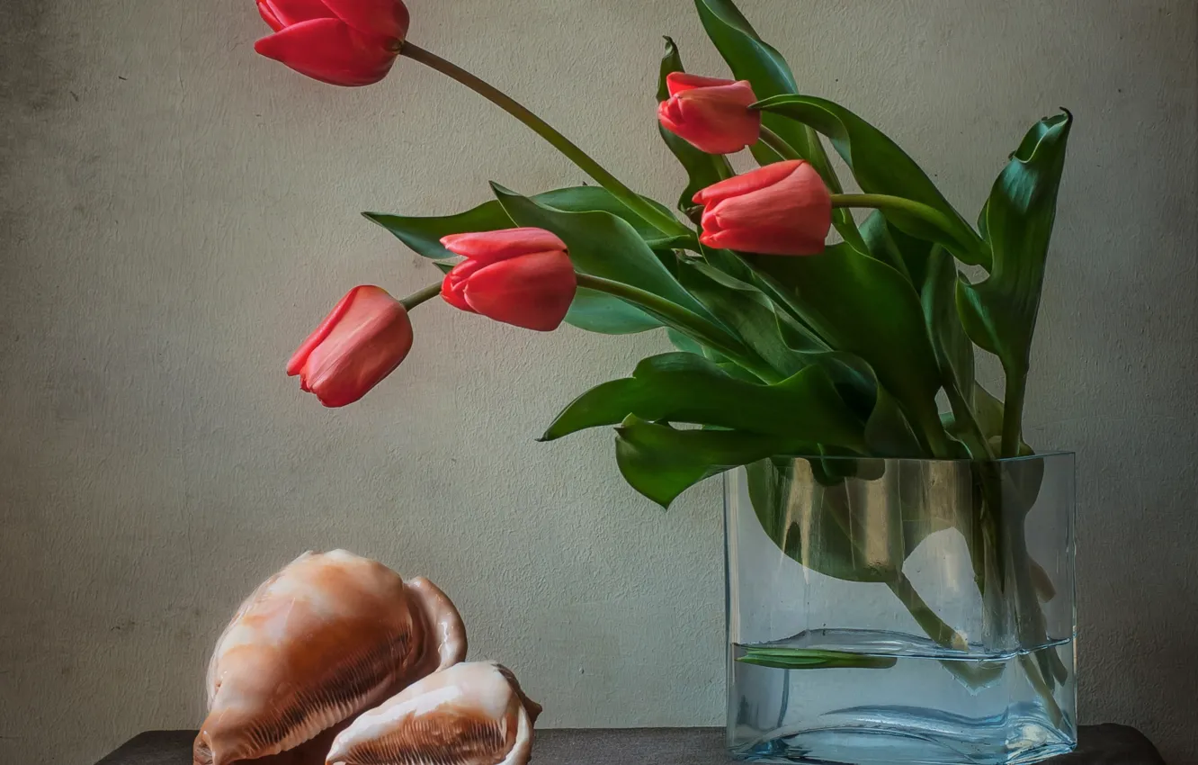 Photo wallpaper flowers, sink, shell, tulips, vase, still life