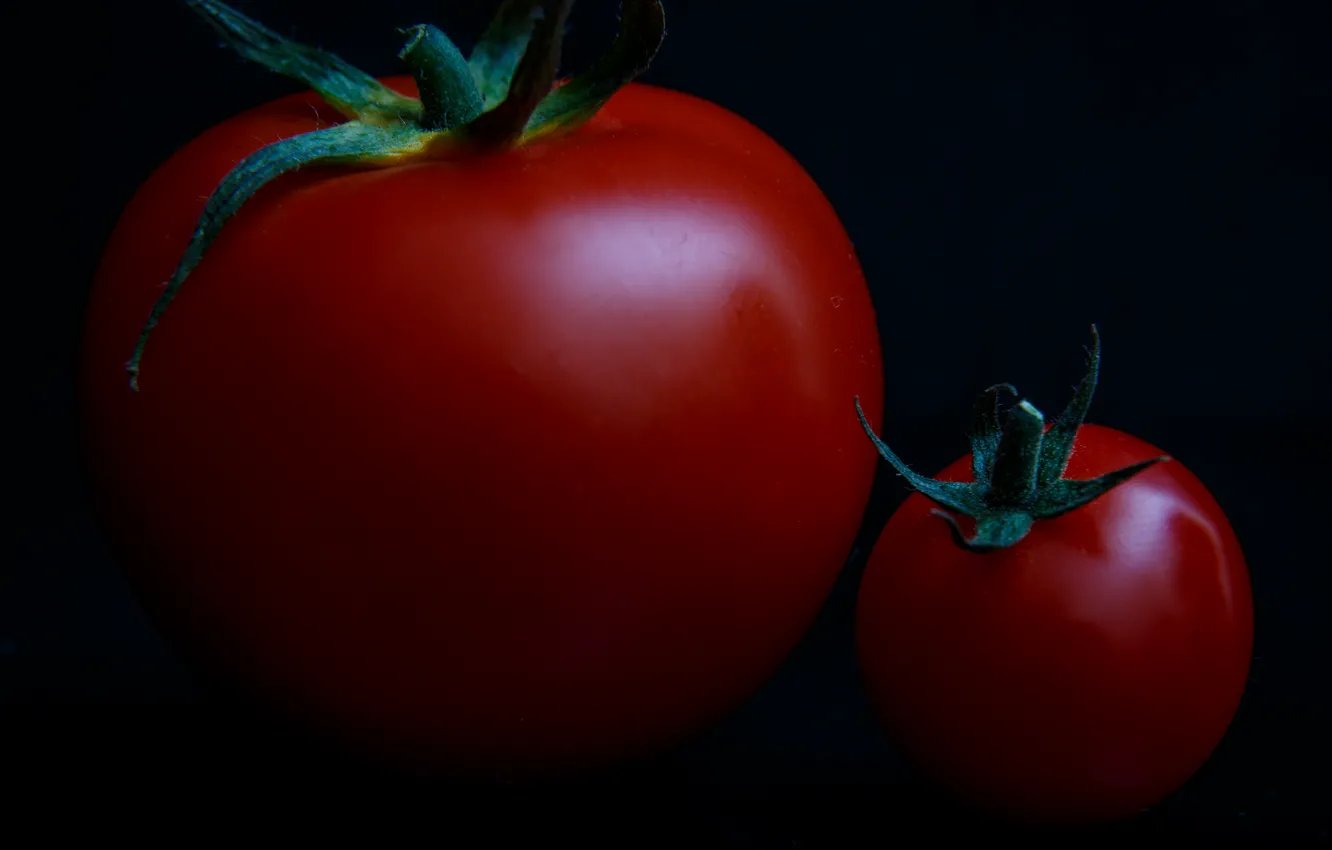 Photo wallpaper macro, small, large, tomatoes