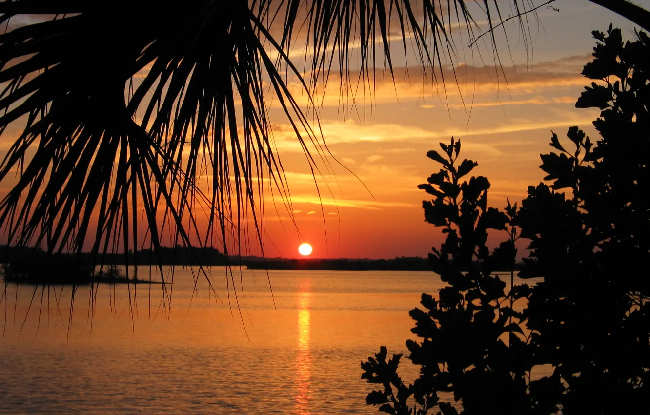 Photo wallpaper nature, river, the evening, sunset, Indian river, bigstock