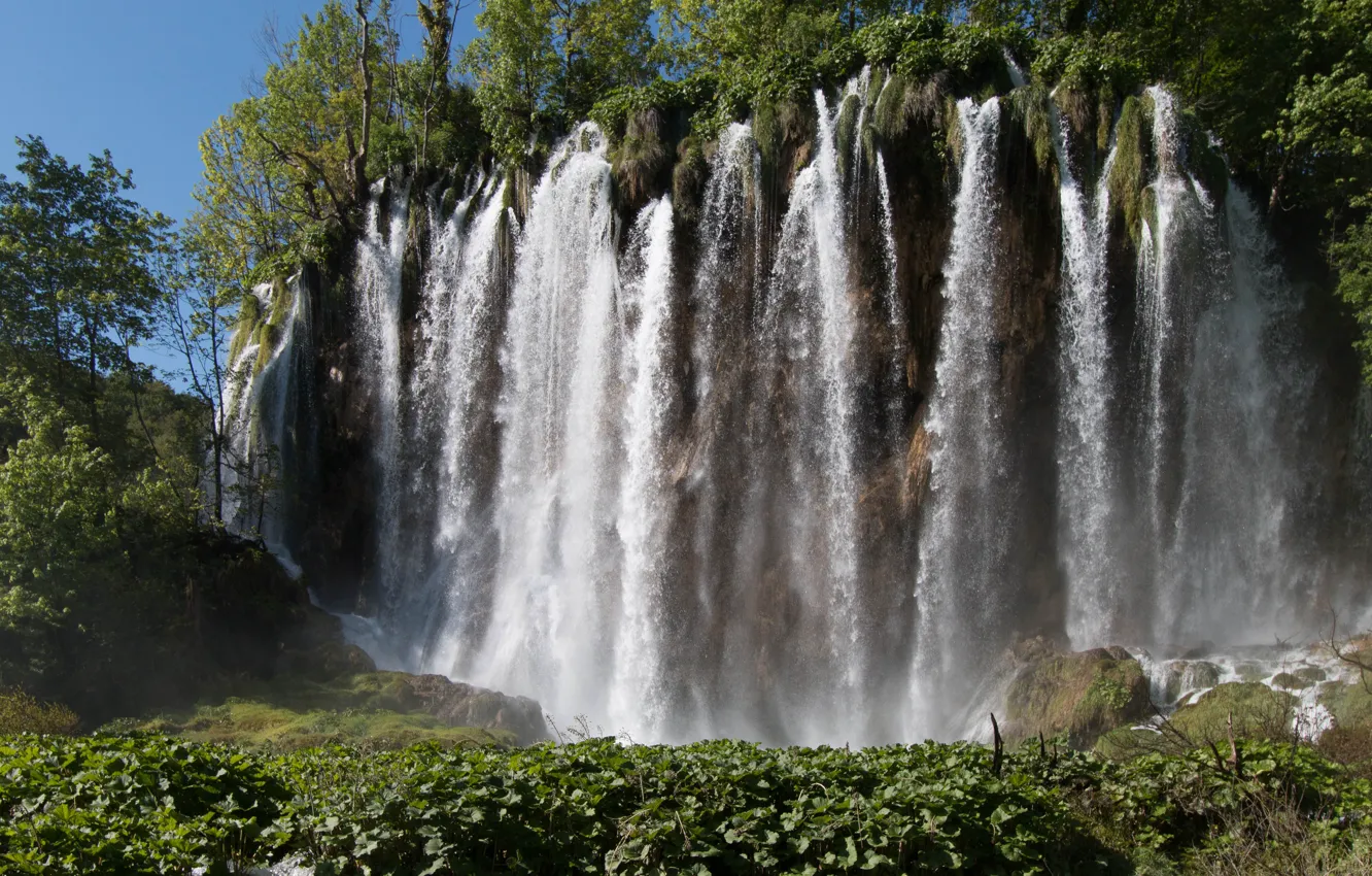 Photo wallpaper trees, nature, waterfall