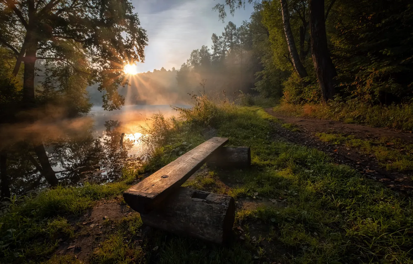 Photo wallpaper forest, summer, the sun, rays, nature, river, dawn, morning