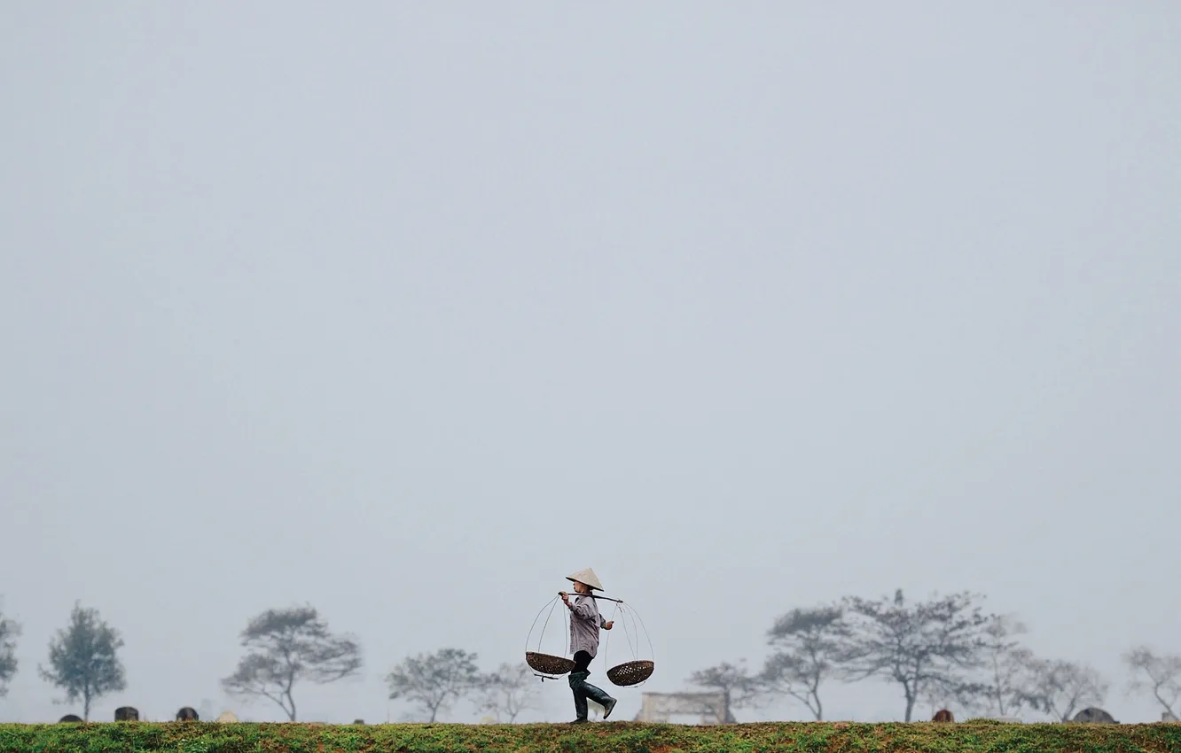 Photo wallpaper field, trees, basket, people, gray clouds