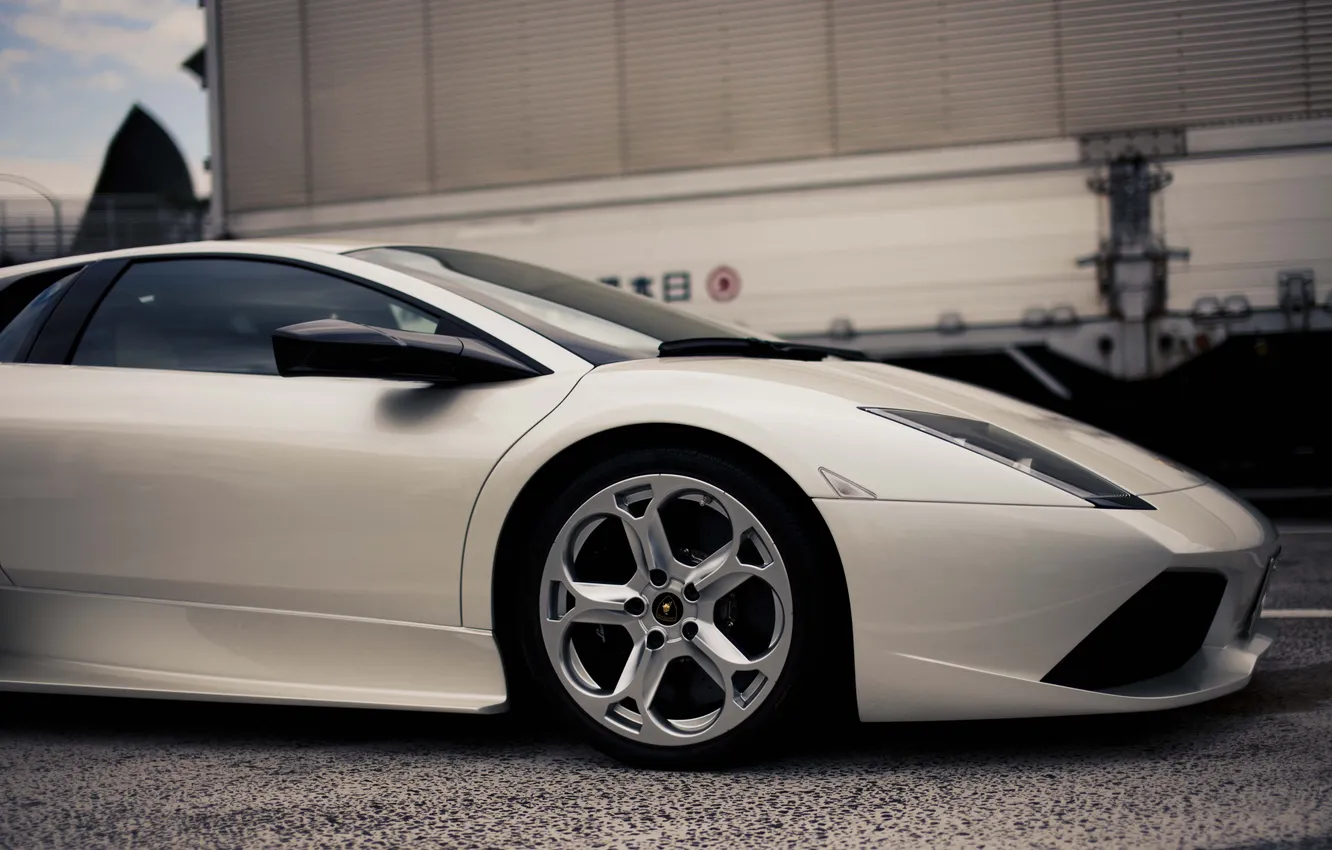 Photo wallpaper white, Lamborghini, white, Lamborghini, murcielago, lp640, Lamborghini, murciélago