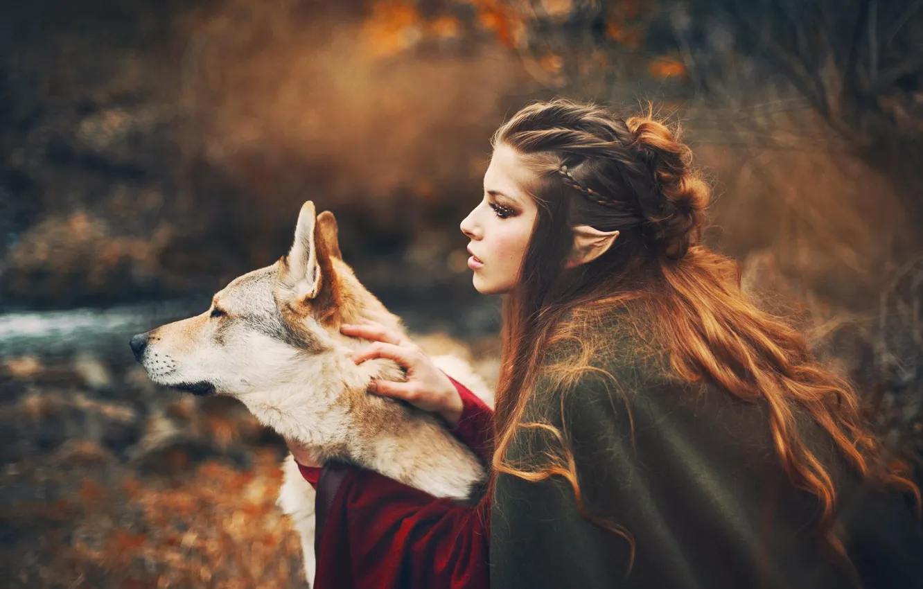 Photo wallpaper autumn, girl, style, wolf, dog, fantasy, elf, Marketa Novak