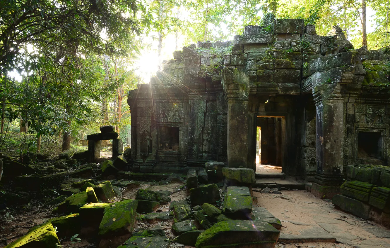 Photo wallpaper the sun, trees, stones, ruins, architecture, Cambodia, Angkor Wat