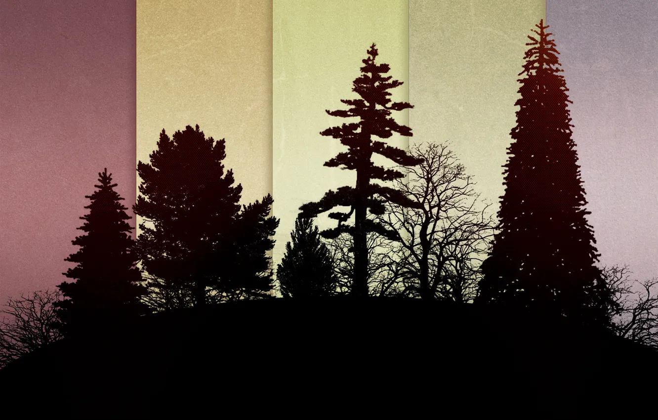 Photo wallpaper forest, tree, the bushes, Nicholas Black