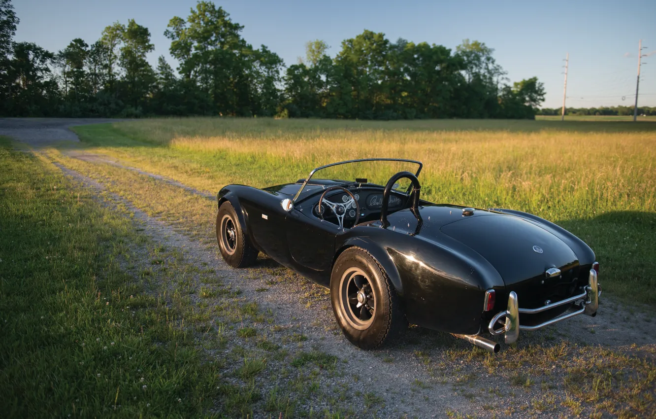 Photo wallpaper Shelby, Cobra, rear view, Shelby Cobra 289