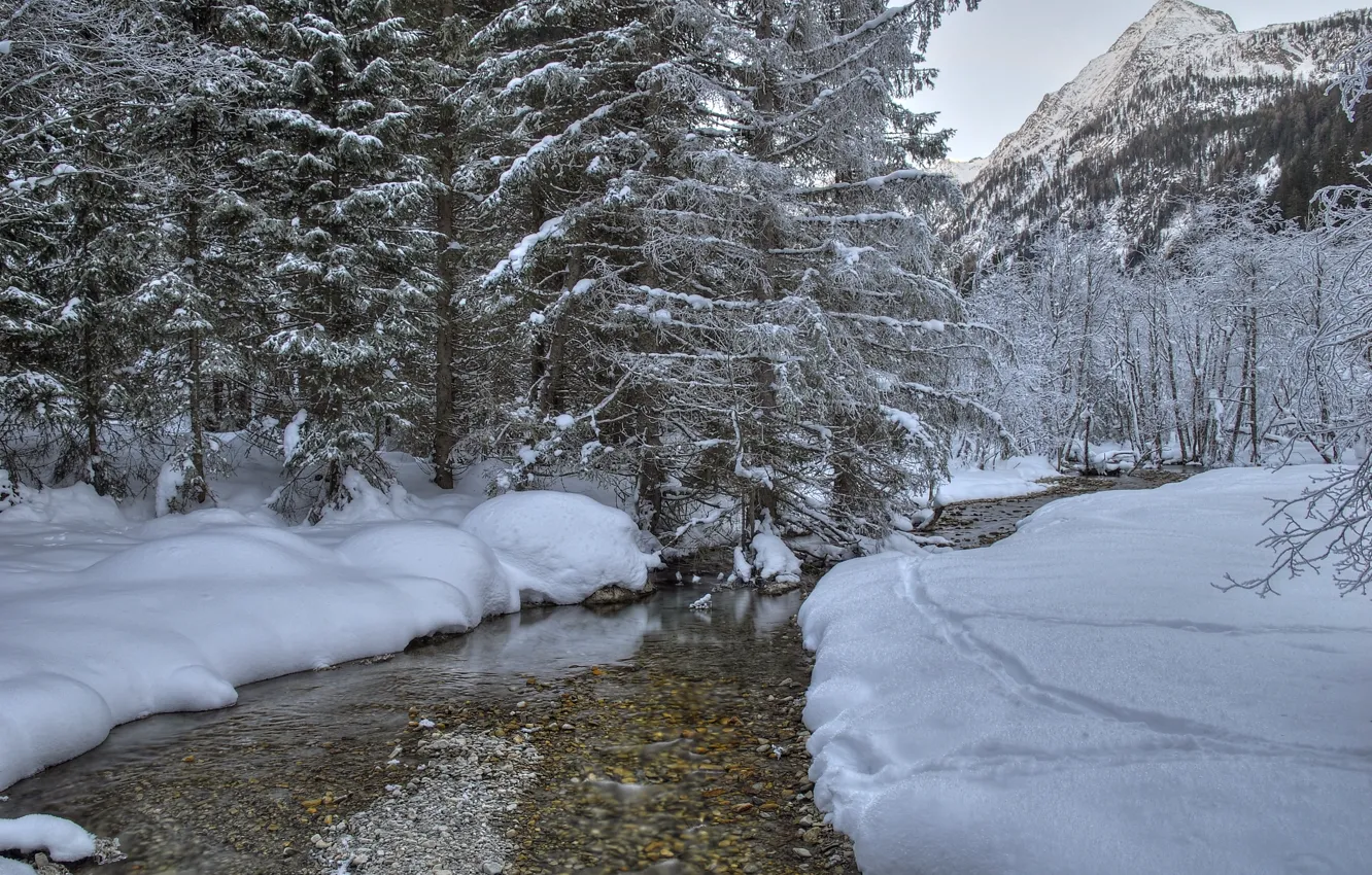 Photo wallpaper winter, forest, snow, frost, forest, nature, water, winter