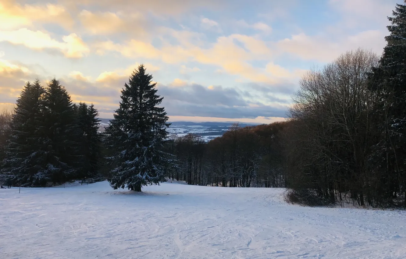 Photo wallpaper winter, forest, the sky, clouds, snow, trees, sunset, traces
