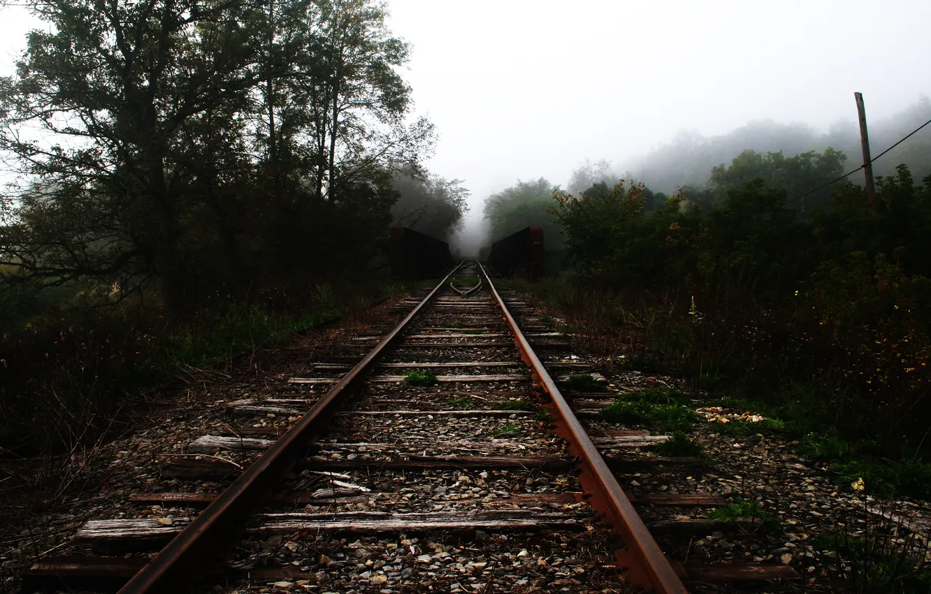 Photo wallpaper grass, trees, fog, rails, railroad, sleepers, mound