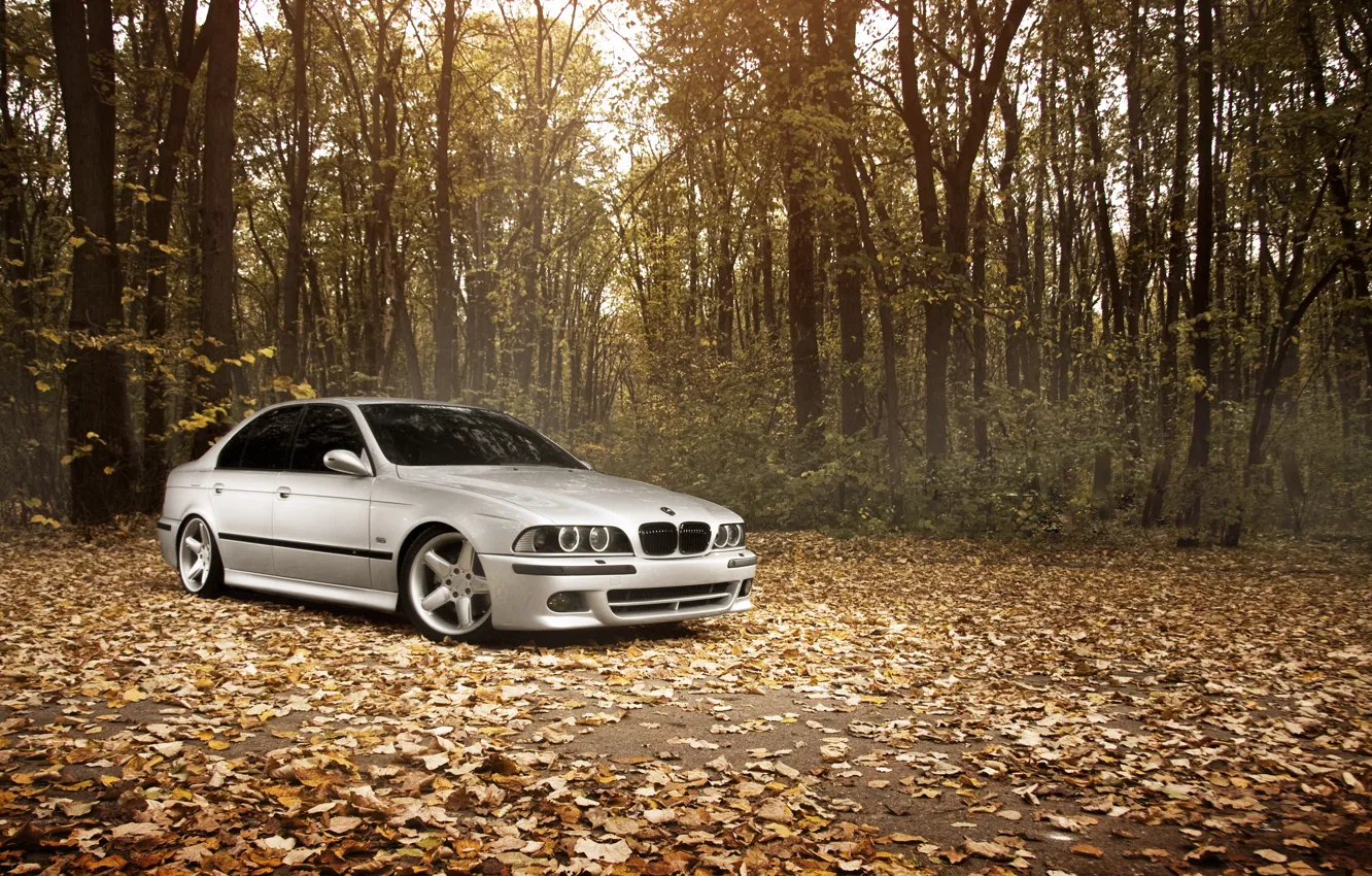 Photo wallpaper forest, leaves, Autumn, BMW, BMW, Stance Works, M5 E39