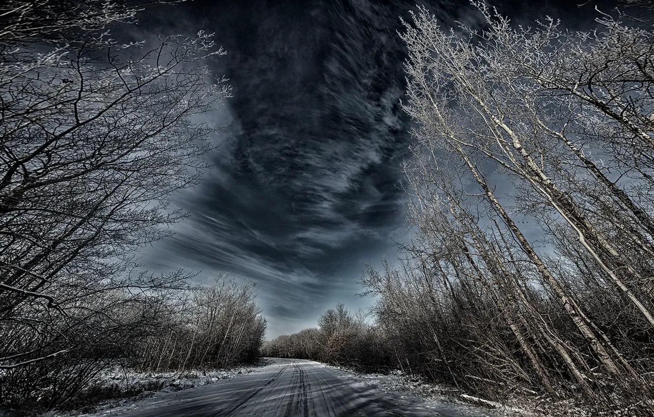 Photo wallpaper winter, road, forest, the sky