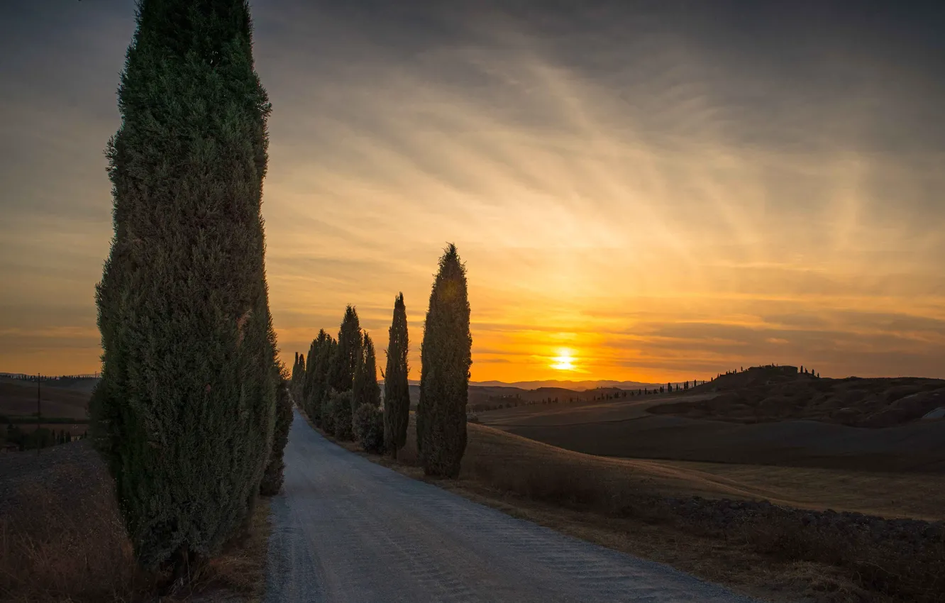 Photo wallpaper road, sunset, the evening, Italy, cypress, Tuscany