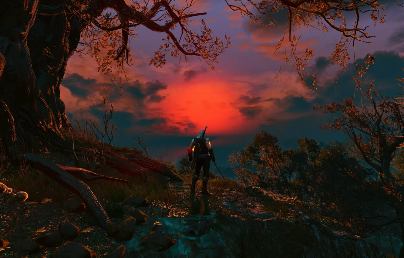 Photo wallpaper forest, Sword, Warrior, Armor, The Witcher, The Witcher, Geralt, red sunset