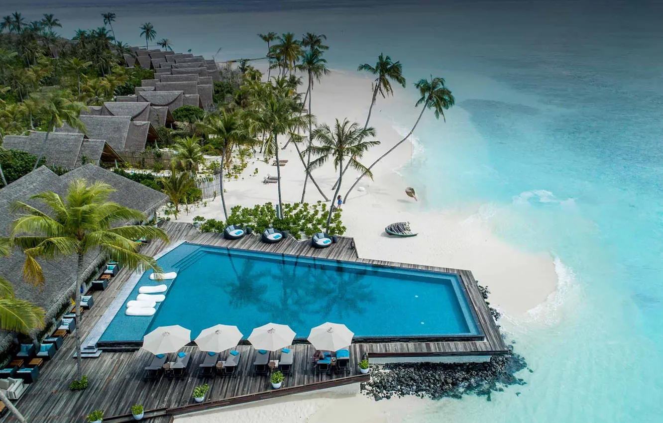 Photo wallpaper beach, palm trees, the ocean, island, pool, top, resort, Maldives