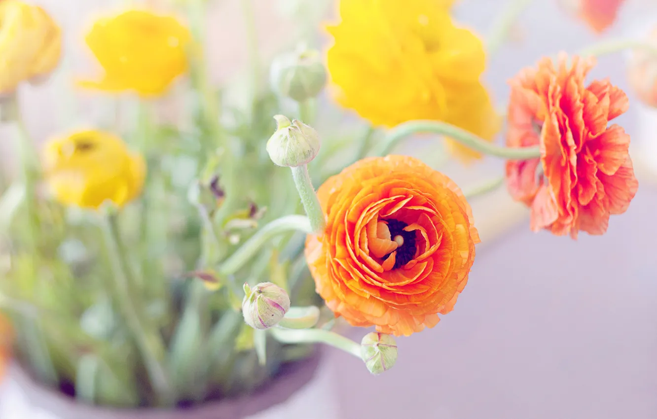 Photo wallpaper leaves, flowers, bouquet, yellow, petals, vase, orange, buds
