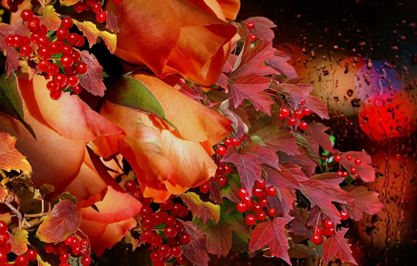 Photo wallpaper autumn, rain, bouquet, Roses, Kalina