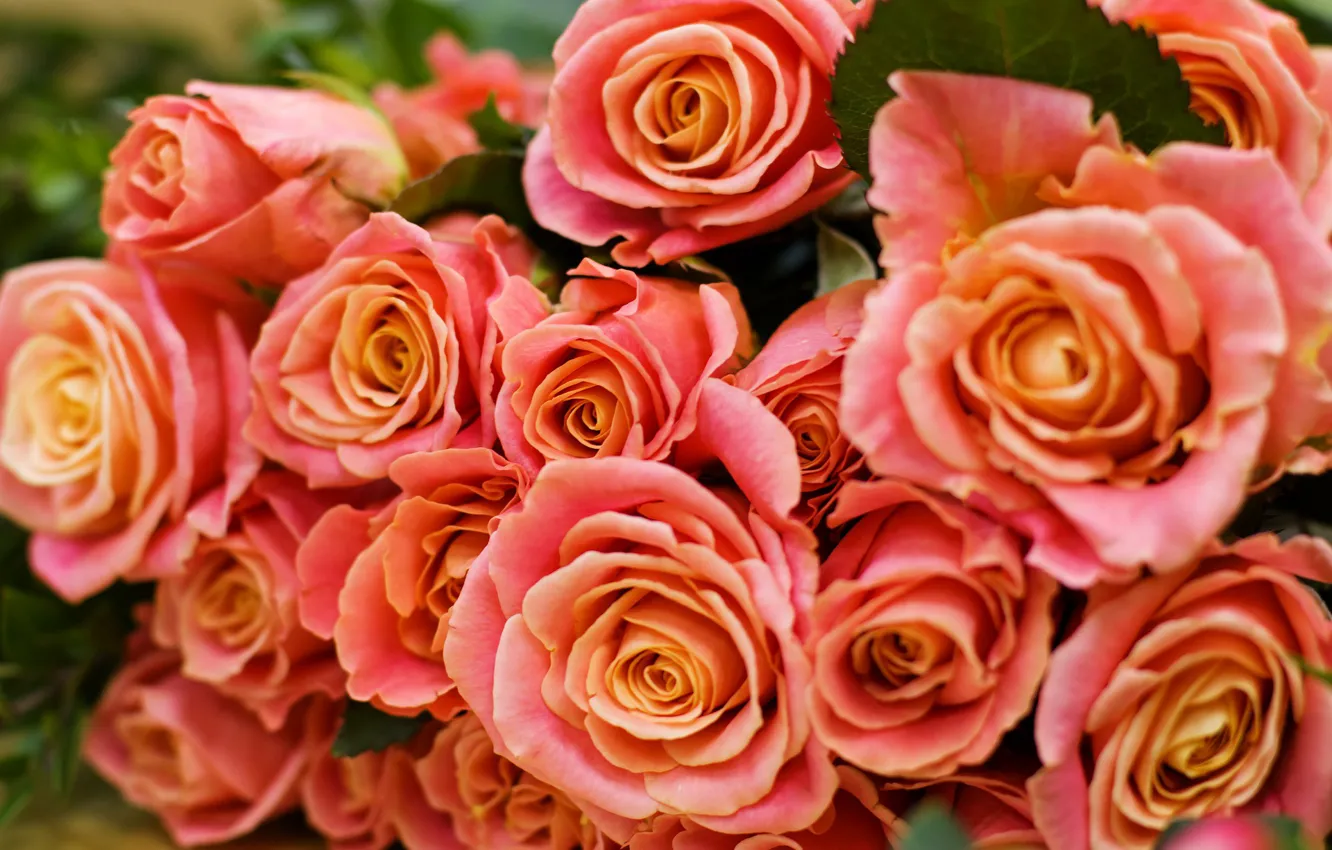 Photo wallpaper flowers, orange, bouquet, buds, roses