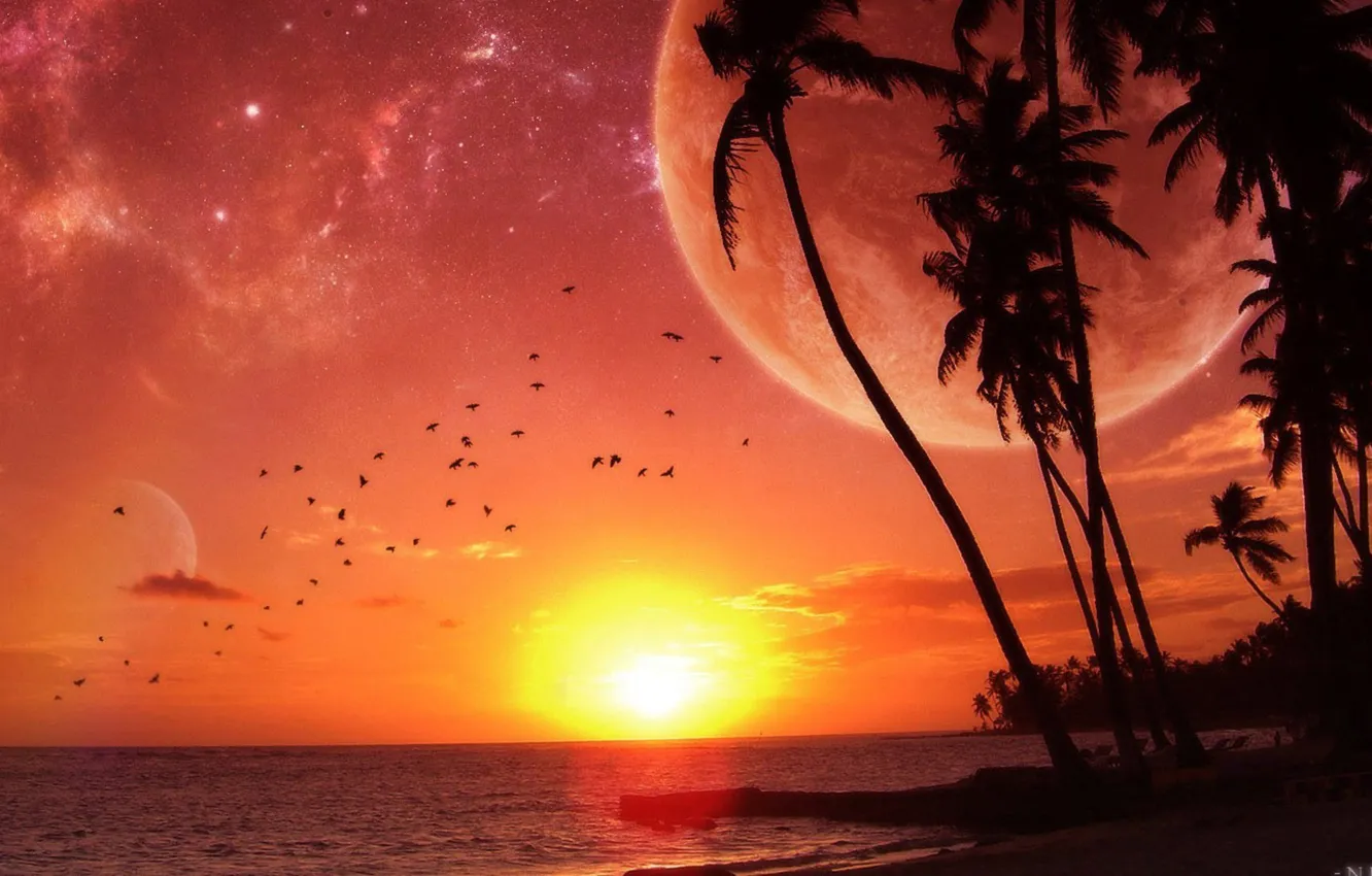 Photo wallpaper sea, sunset, palm trees