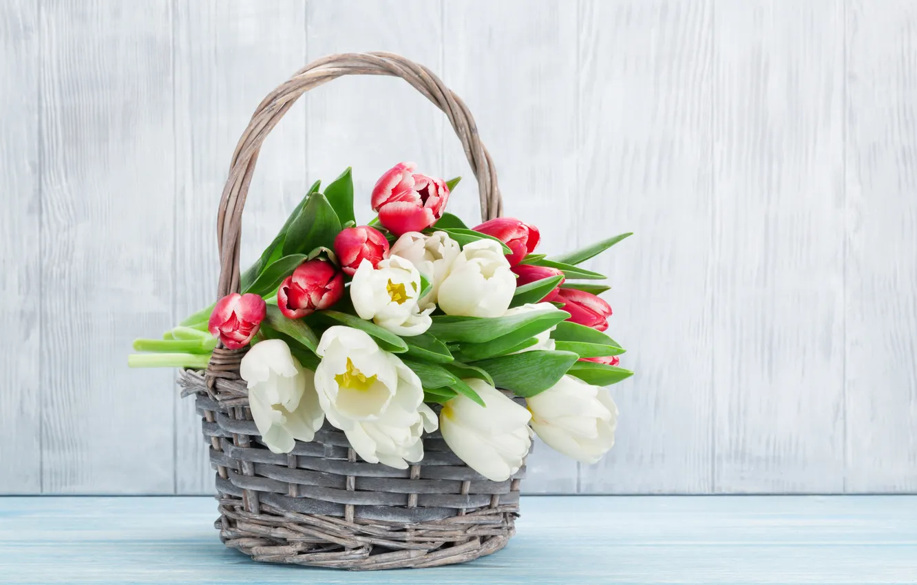 Photo wallpaper flowers, bouquet, tulips, red, white, wood, flowers, tulips