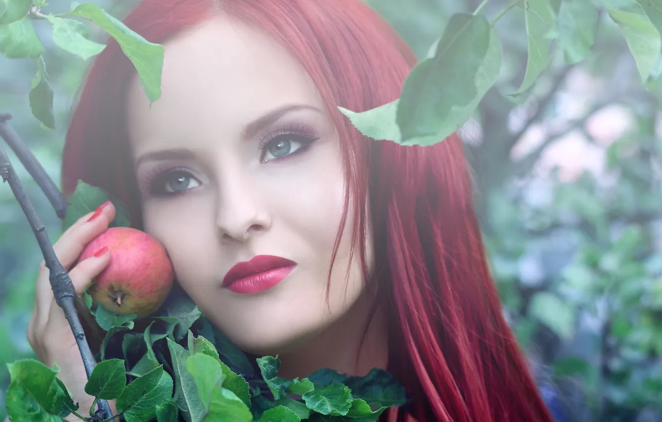 Photo wallpaper branches, face, apples, haze, Apple