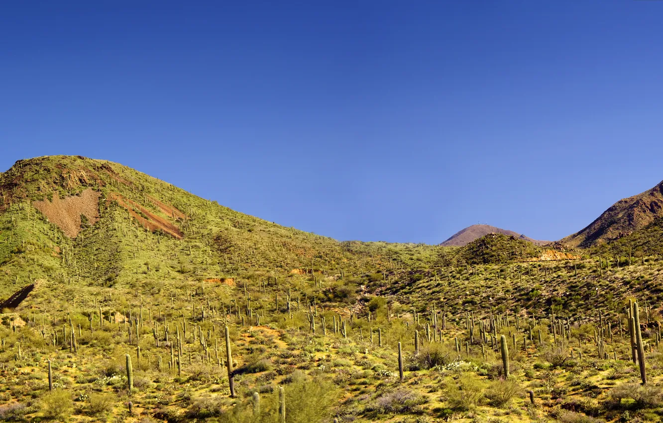 Photo wallpaper the sky, mountains, desert, cactus, wild West