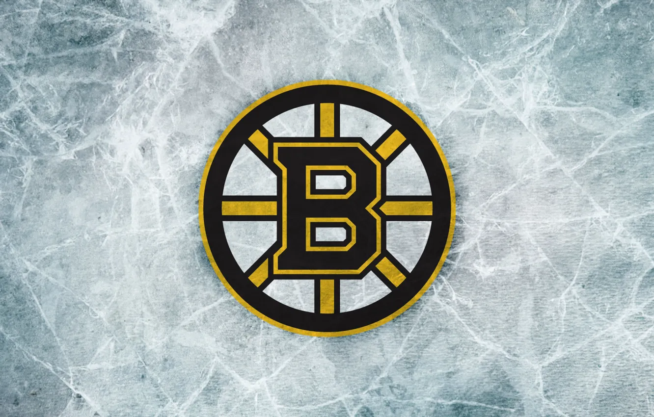 Photo wallpaper sign, bear, Ice, emblem, Boston, Boston, NHL, NHL