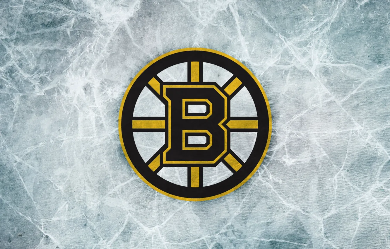 Photo wallpaper ice, sign, bear, emblem, Boston, Boston, NHL, NHL