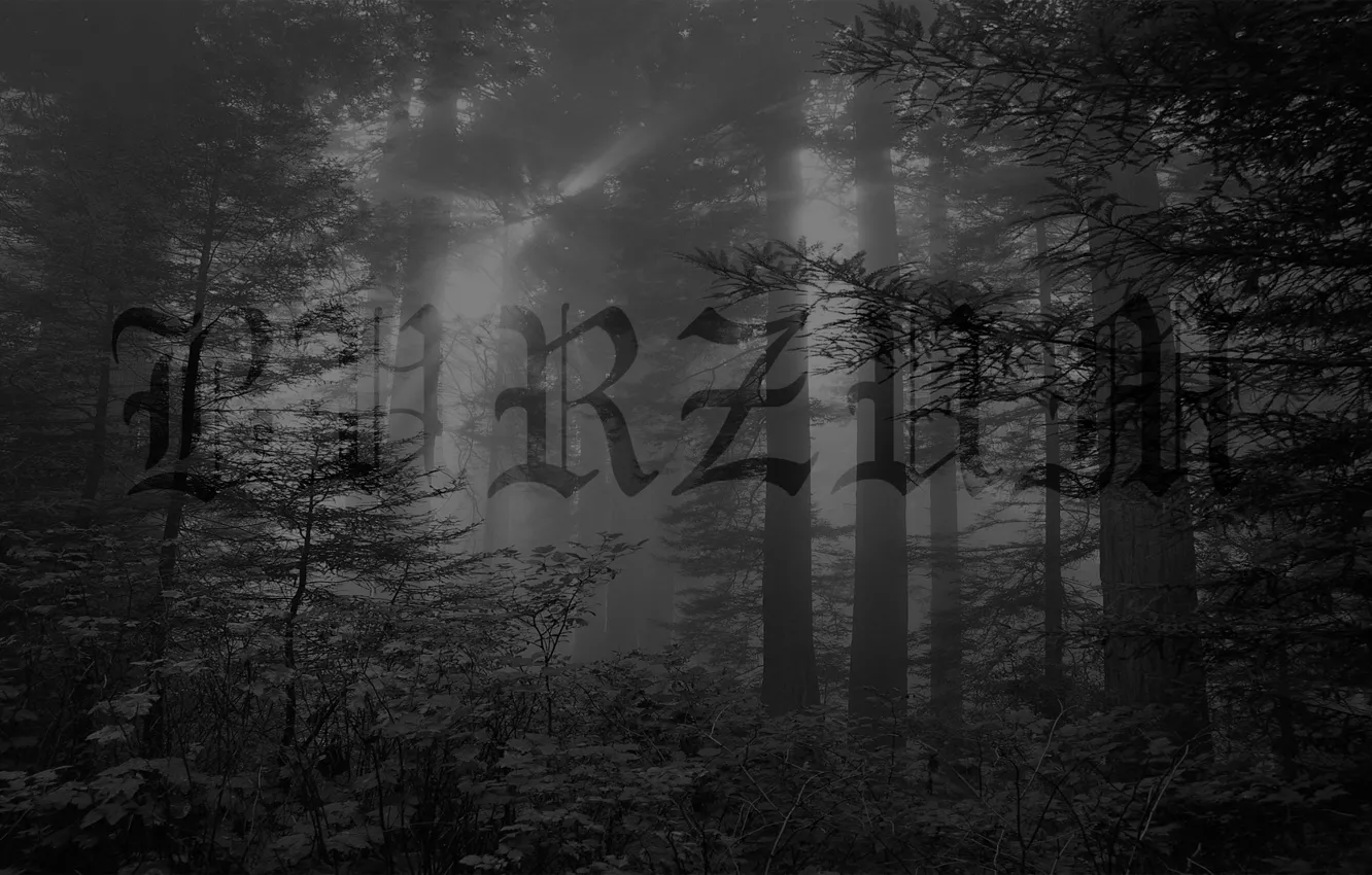 Photo wallpaper Metal, Black Metal, Ambient, Burzum