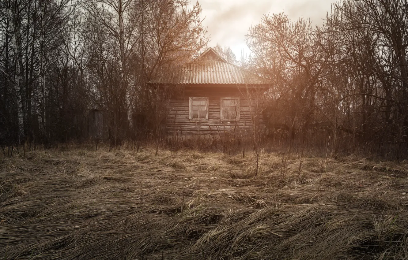 Photo wallpaper field, home, homeland