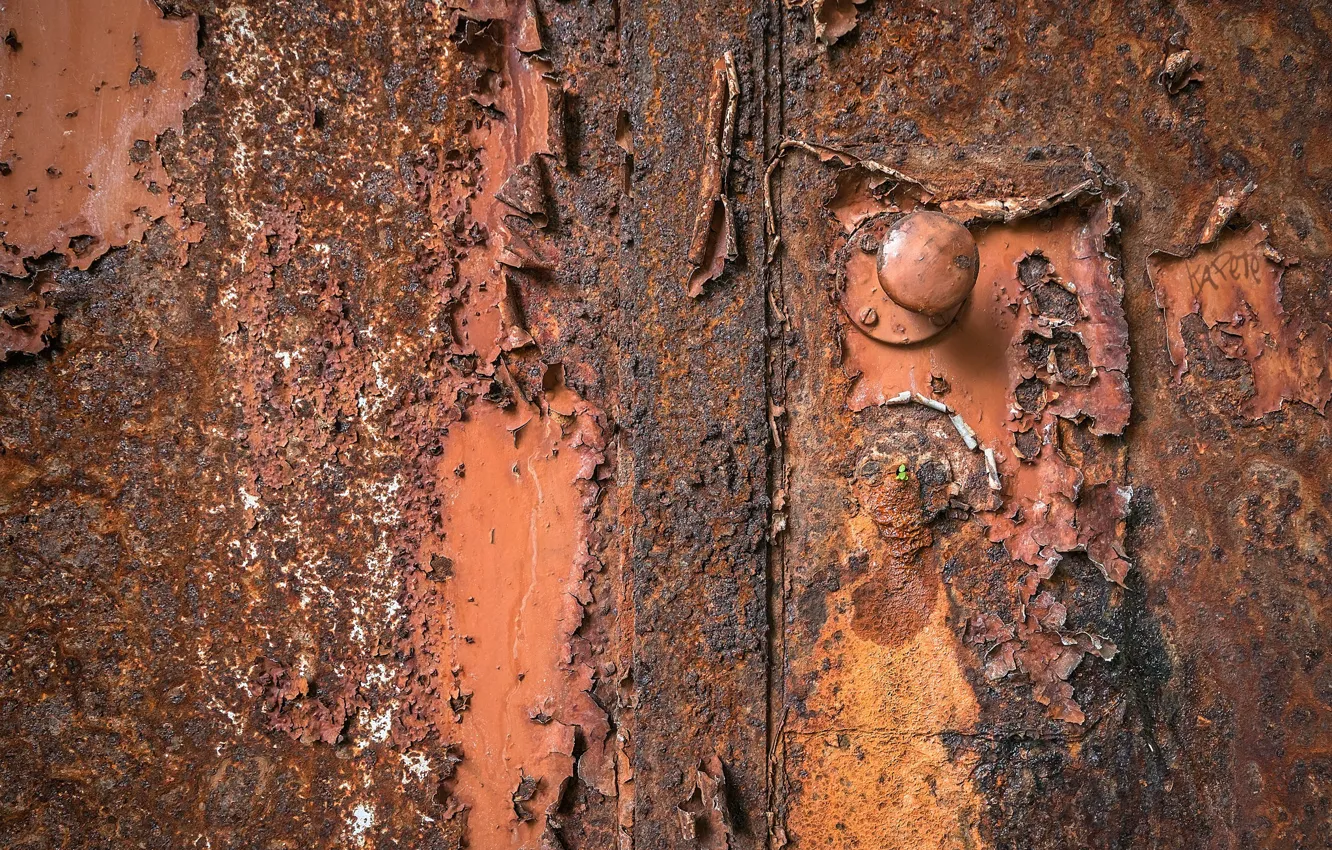 Photo wallpaper the door, rust, handle