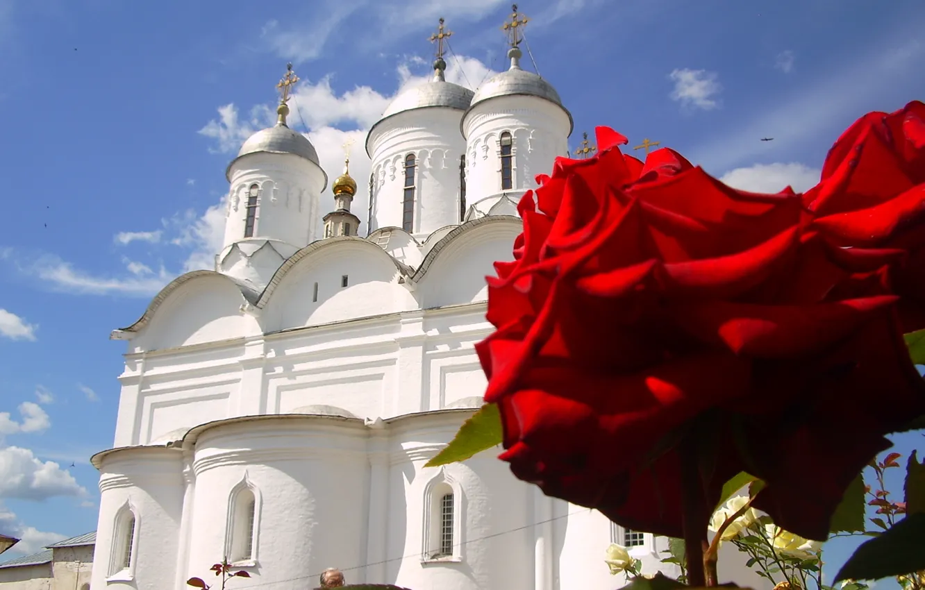 Photo wallpaper summer, flowers, roses, temple