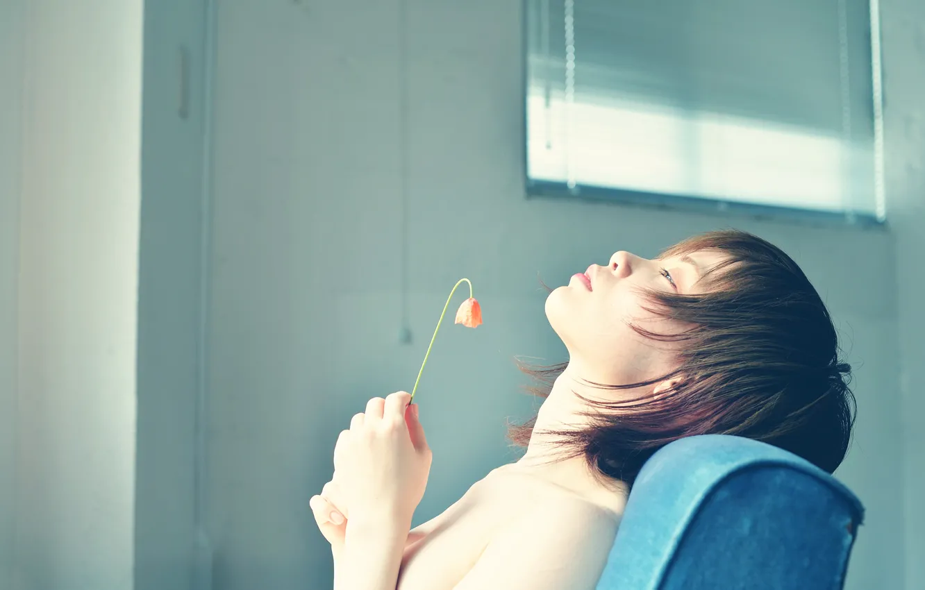 Photo wallpaper flower, girl, profile, Innocence