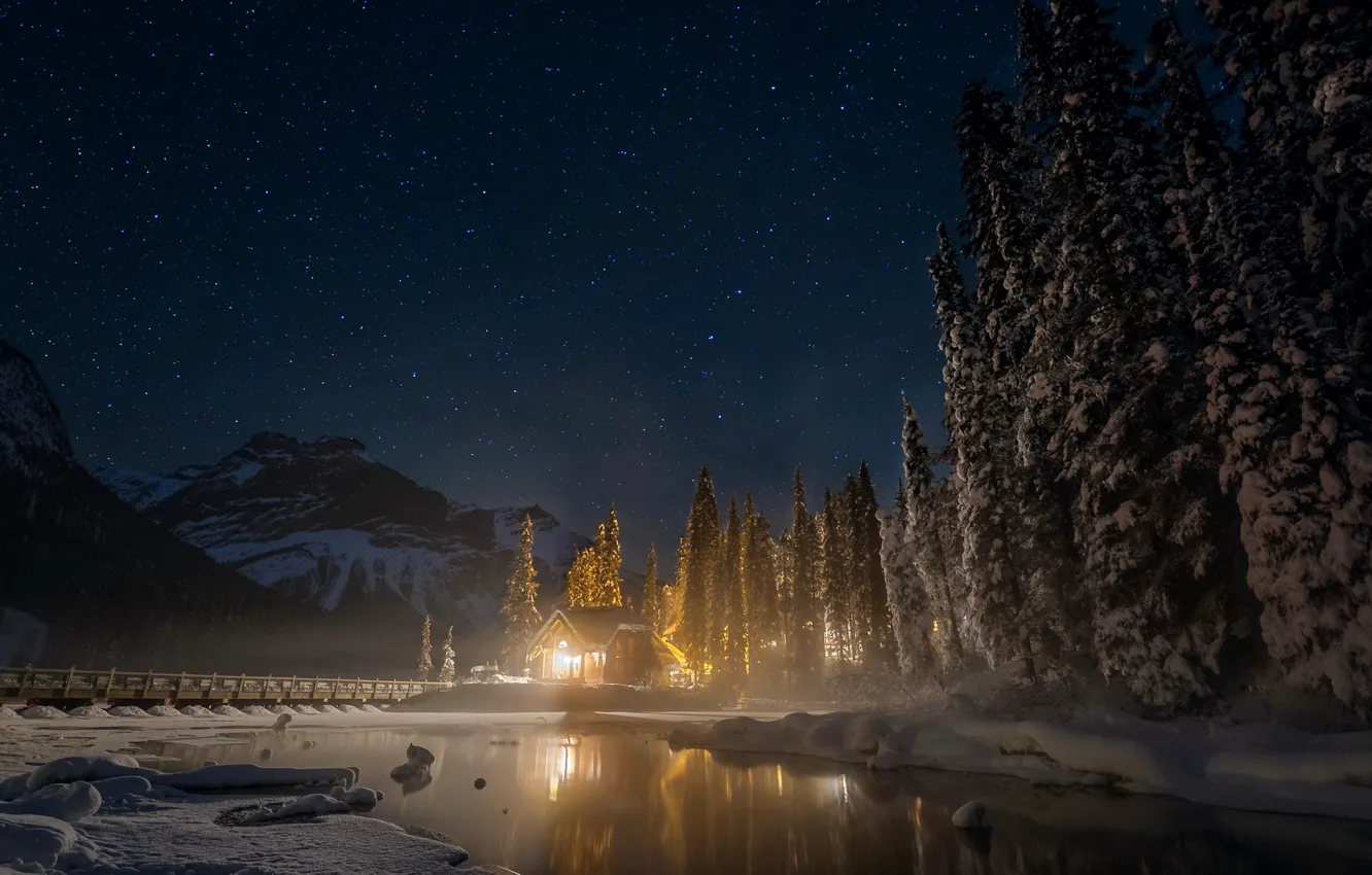 Photo wallpaper winter, forest, the sky, stars, snow, trees, mountains, night