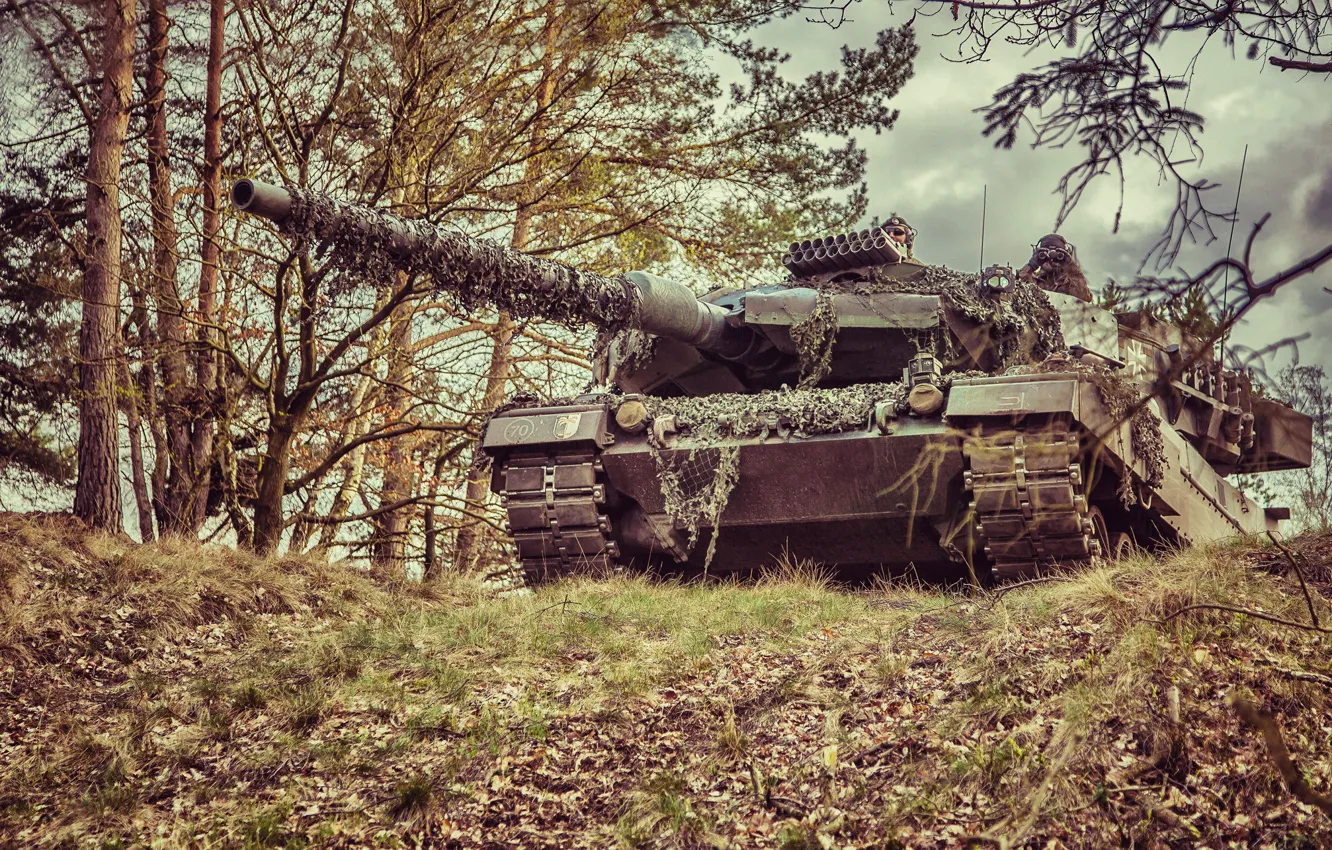 Photo wallpaper forest, tank, combat, Leopard 2A6M