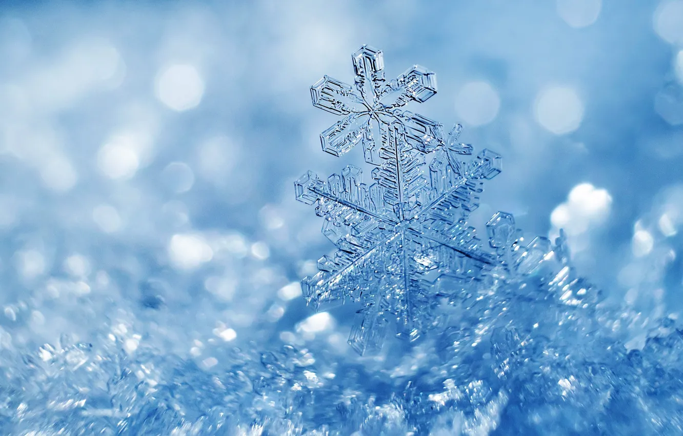 Photo wallpaper winter, light, snow, snowflakes, ice, ice, Christmas, transparent