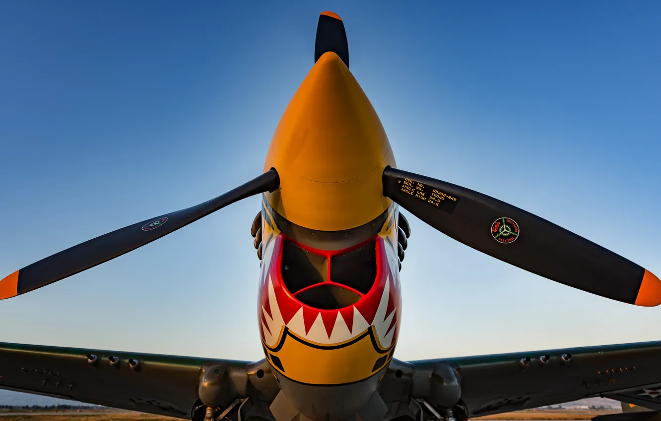 Photo wallpaper fighter, the airfield, P-40 Warhawk