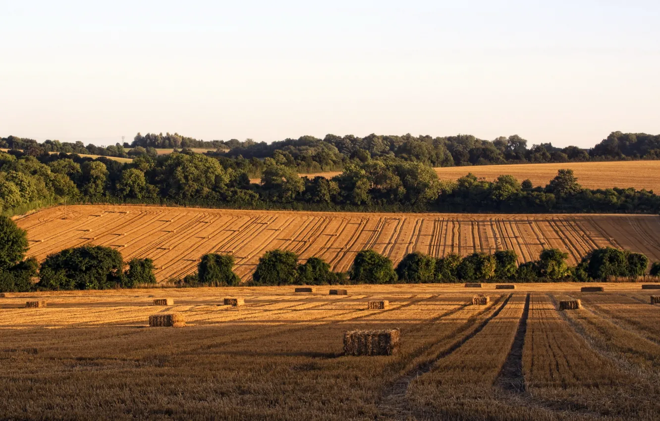 Photo wallpaper nature, photo, field, England, hay, Hampshire