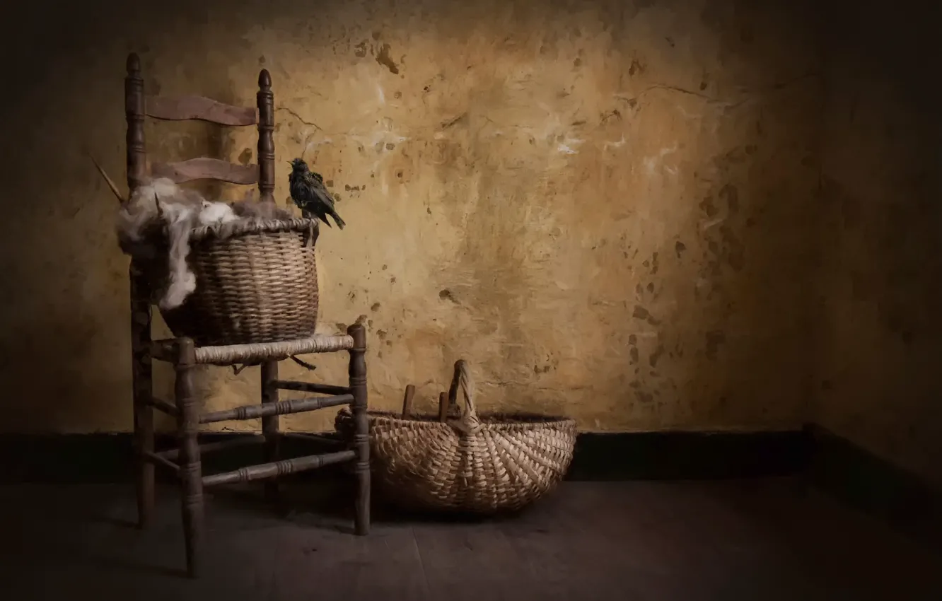 Photo wallpaper bird, basket, art, rural style