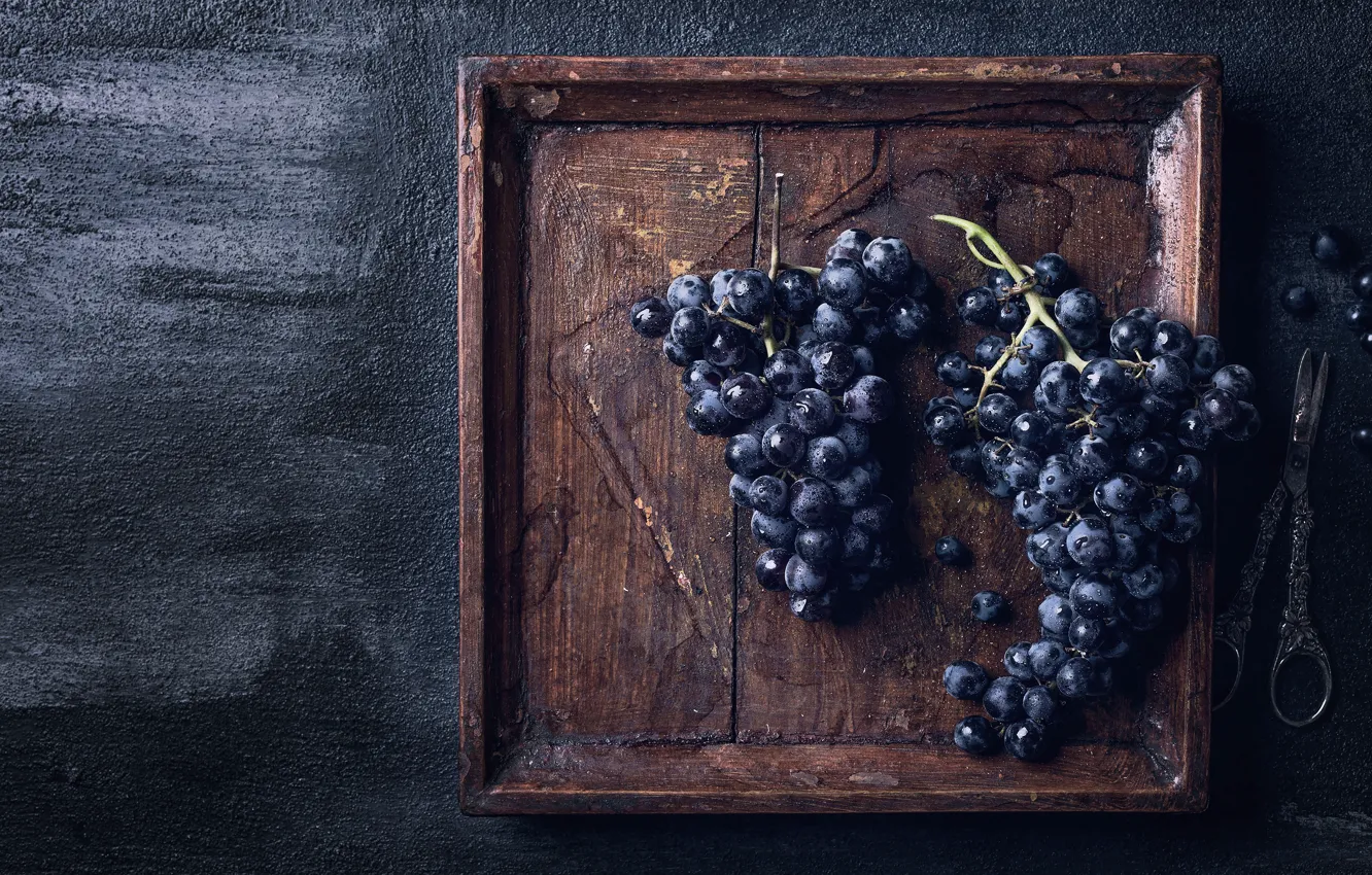 Photo wallpaper blue, the dark background, grapes, bunch, scissors, tray