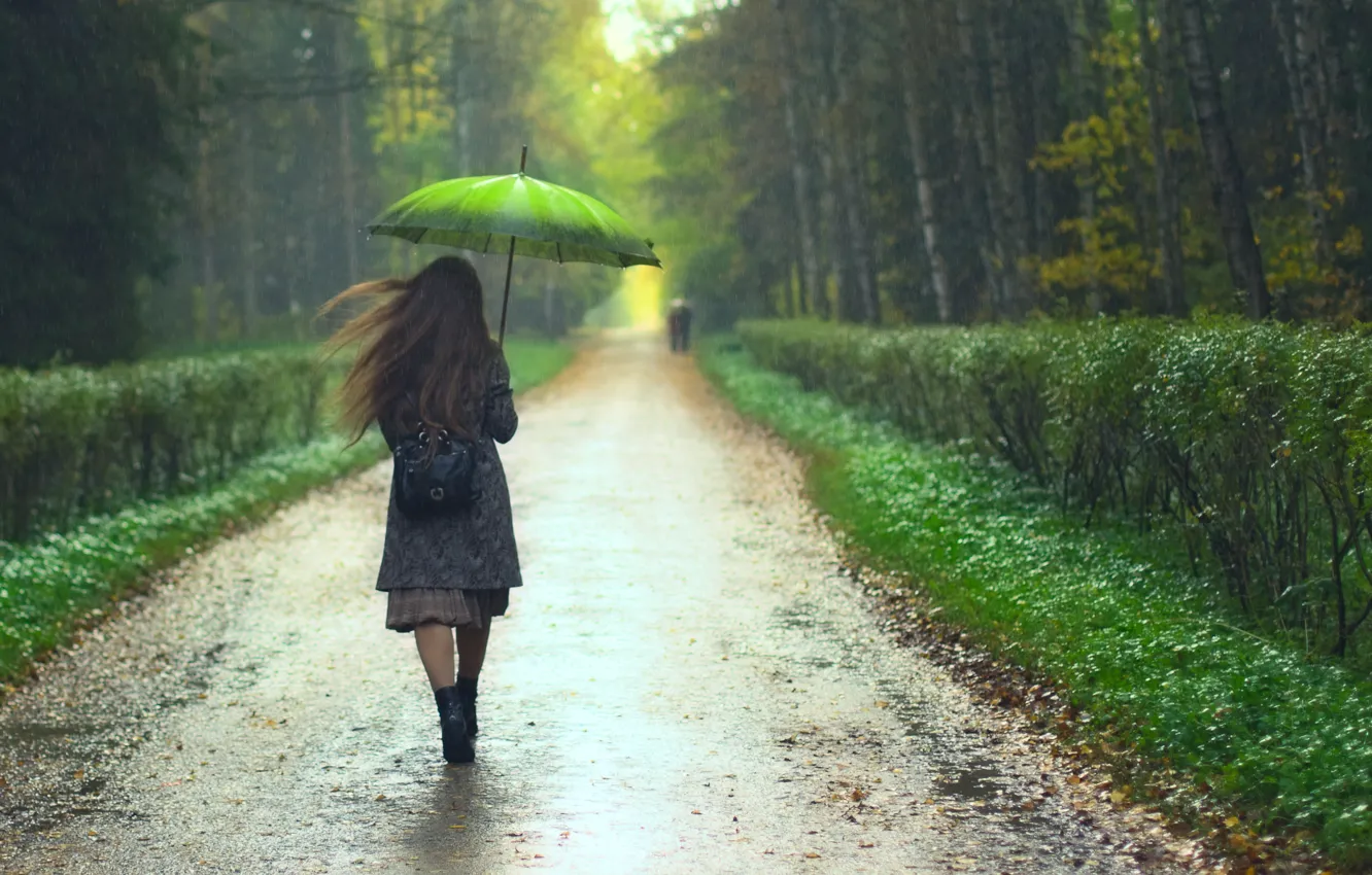 Photo wallpaper road, girl, trees, rain, umbrella