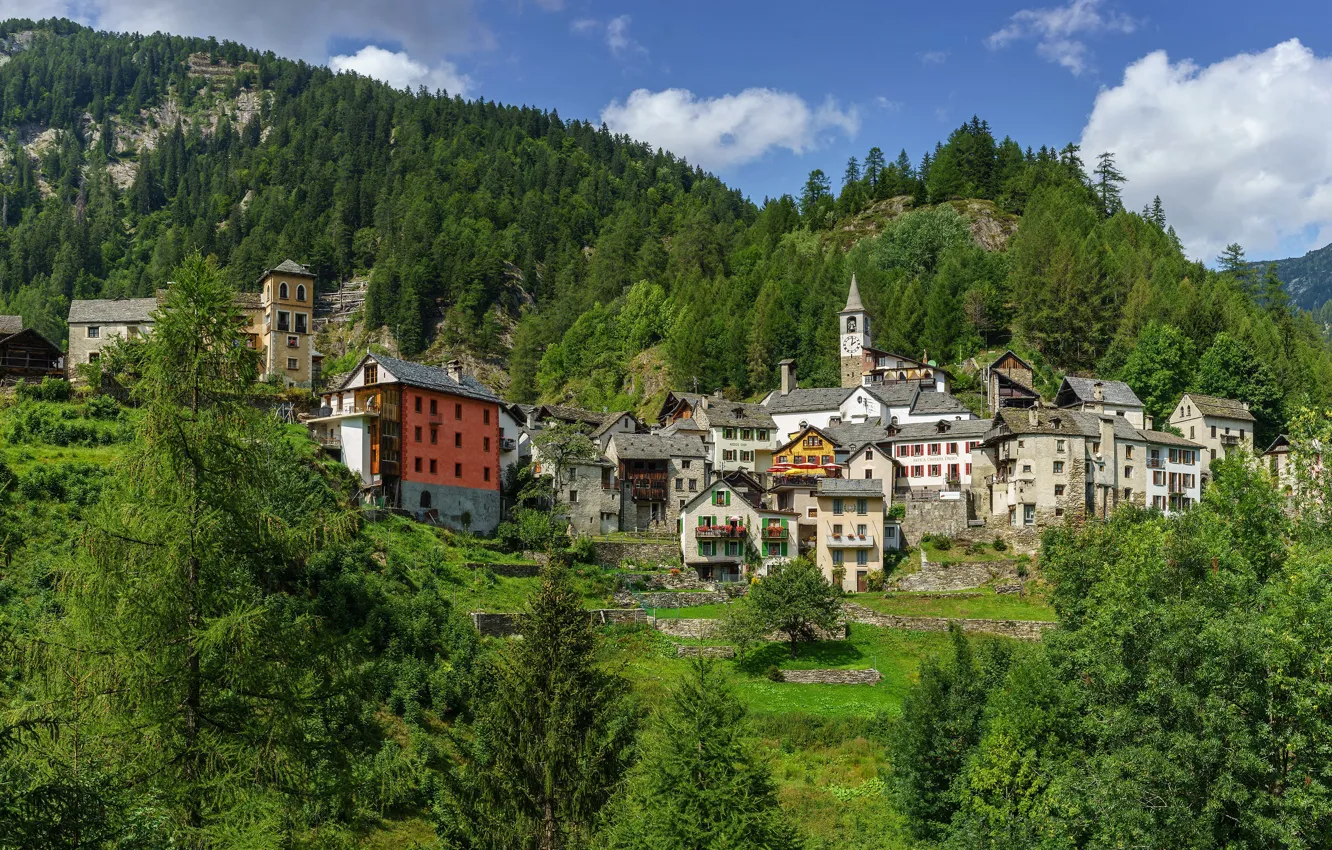 Photo wallpaper greens, forest, the sky, clouds, trees, mountains, comfort, blue