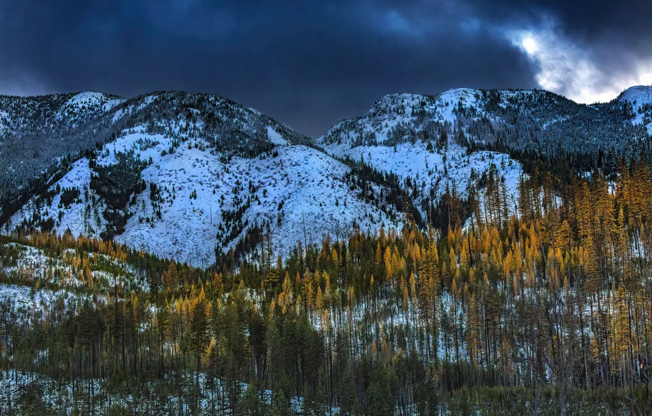 Photo wallpaper winter, autumn, forest, the sky, snow, trees, mountains, clouds