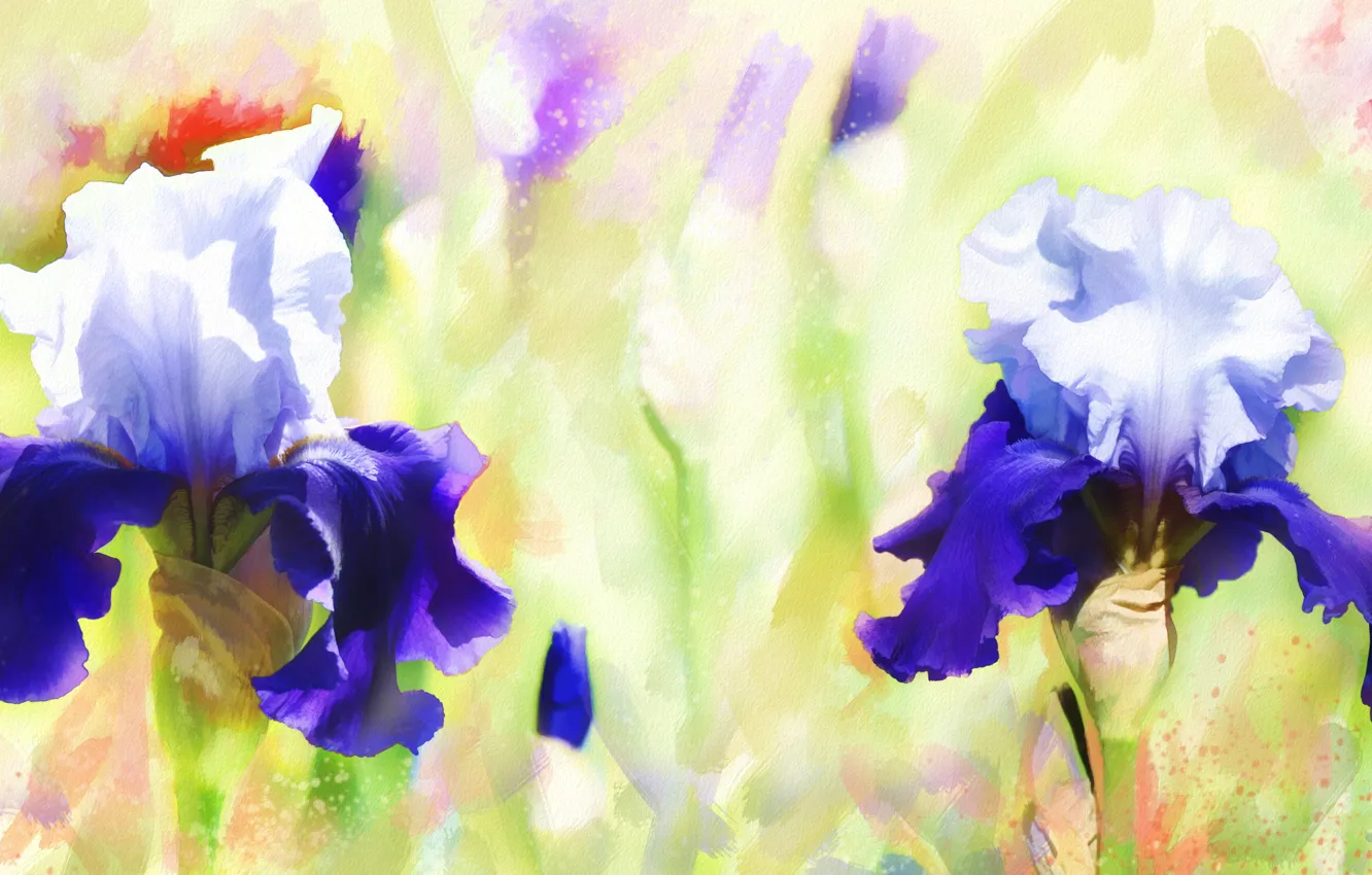Photo wallpaper flowers, figure, graphics, treatment, picture, petals, art, purple