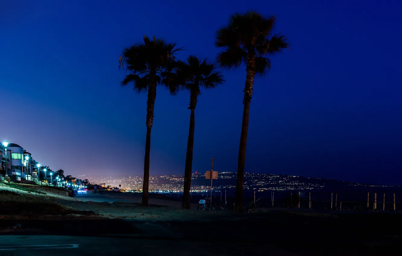 Photo wallpaper sea, the sky, night, the city, lights, palm trees