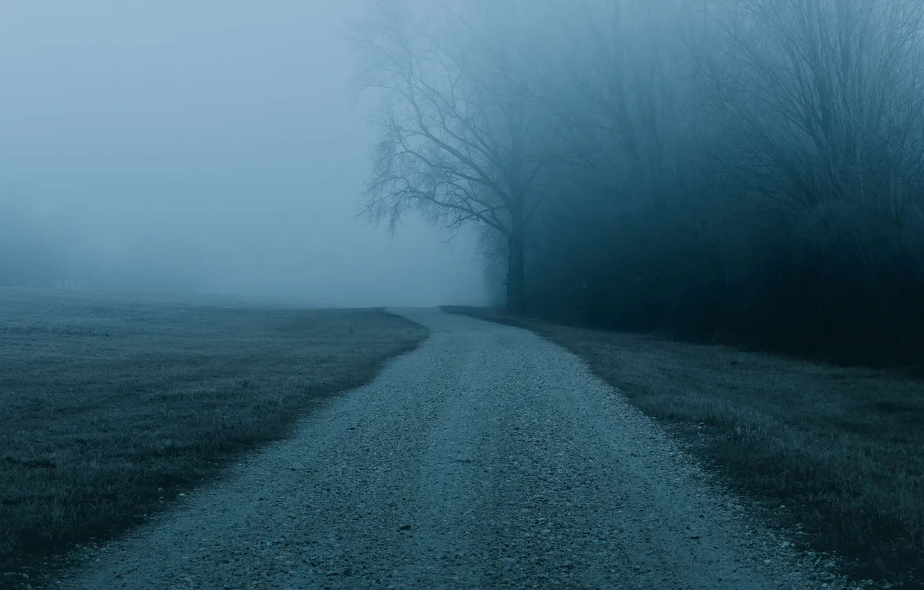 Photo wallpaper road, forest, trees, landscape, nature, fog, the darkness, twilight