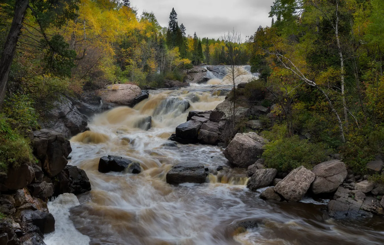 Photo wallpaper autumn, forest, river