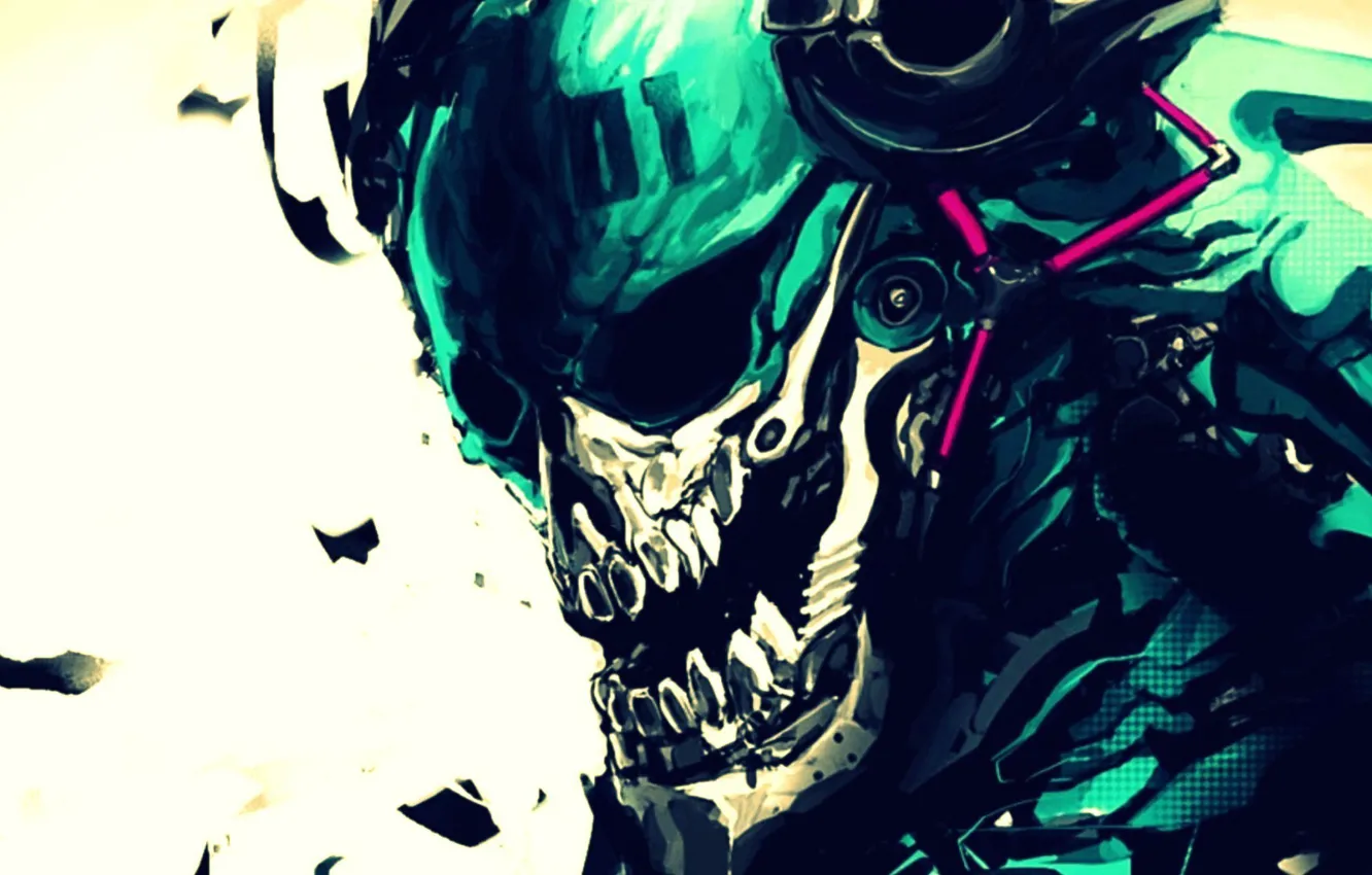 Photo wallpaper skull, teeth, Sake