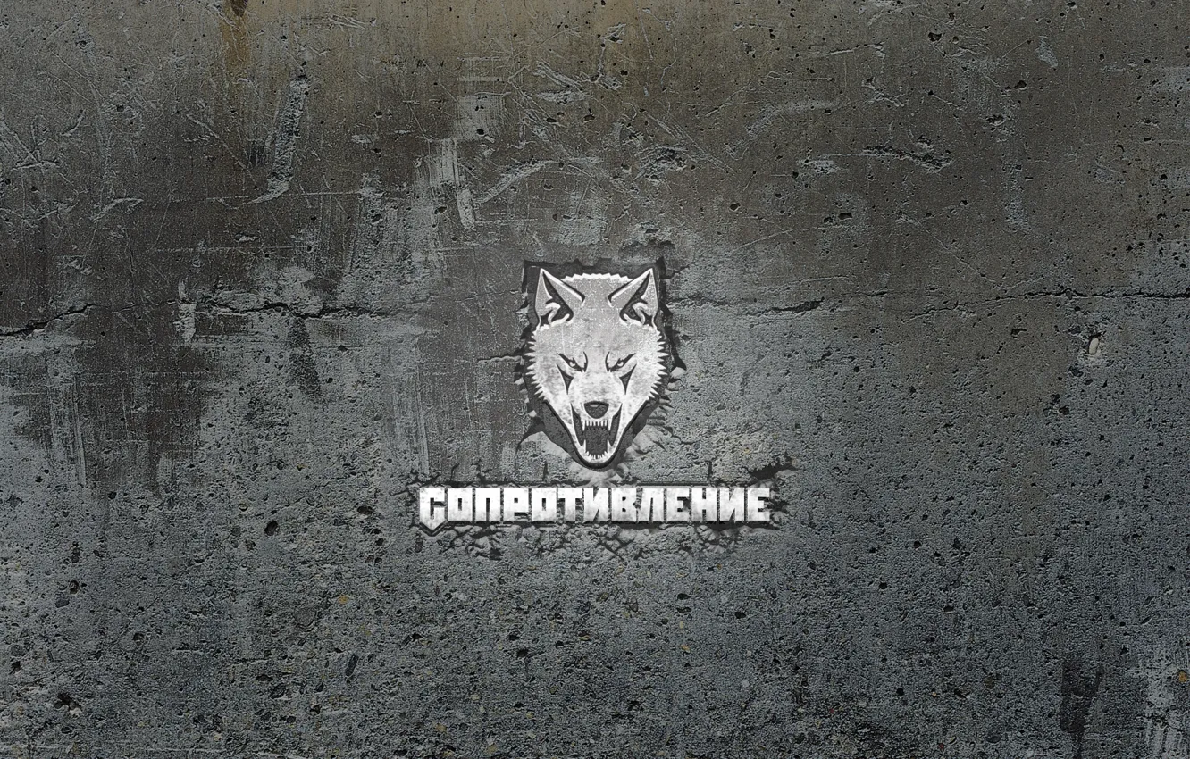 Photo wallpaper wall, wolf, Resistance