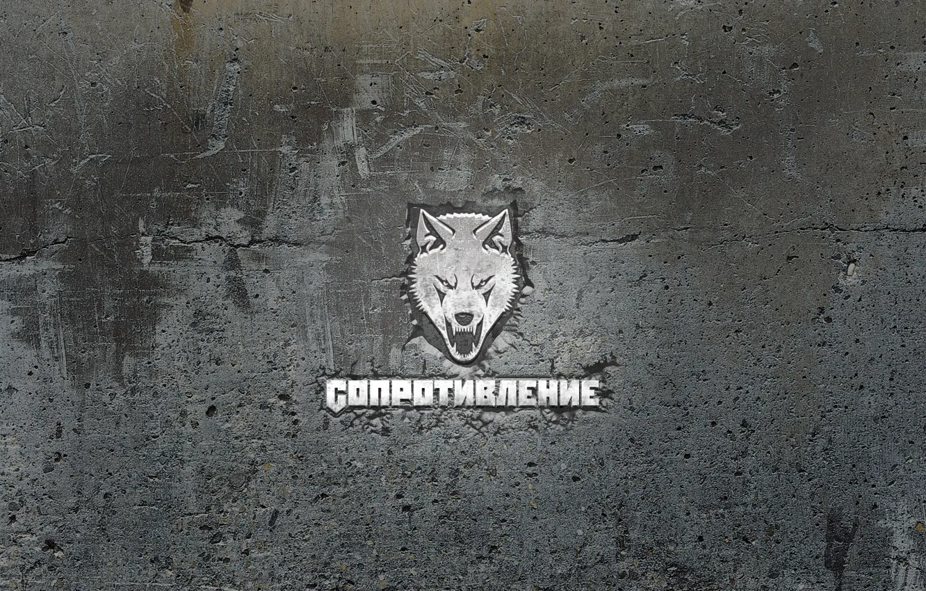 Photo wallpaper wall, wolf, resistance
